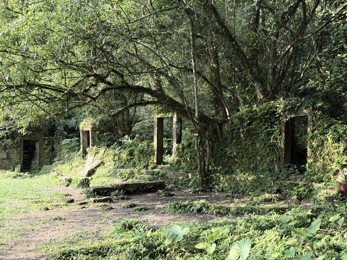 Encadrements de porte de maisons en ruines