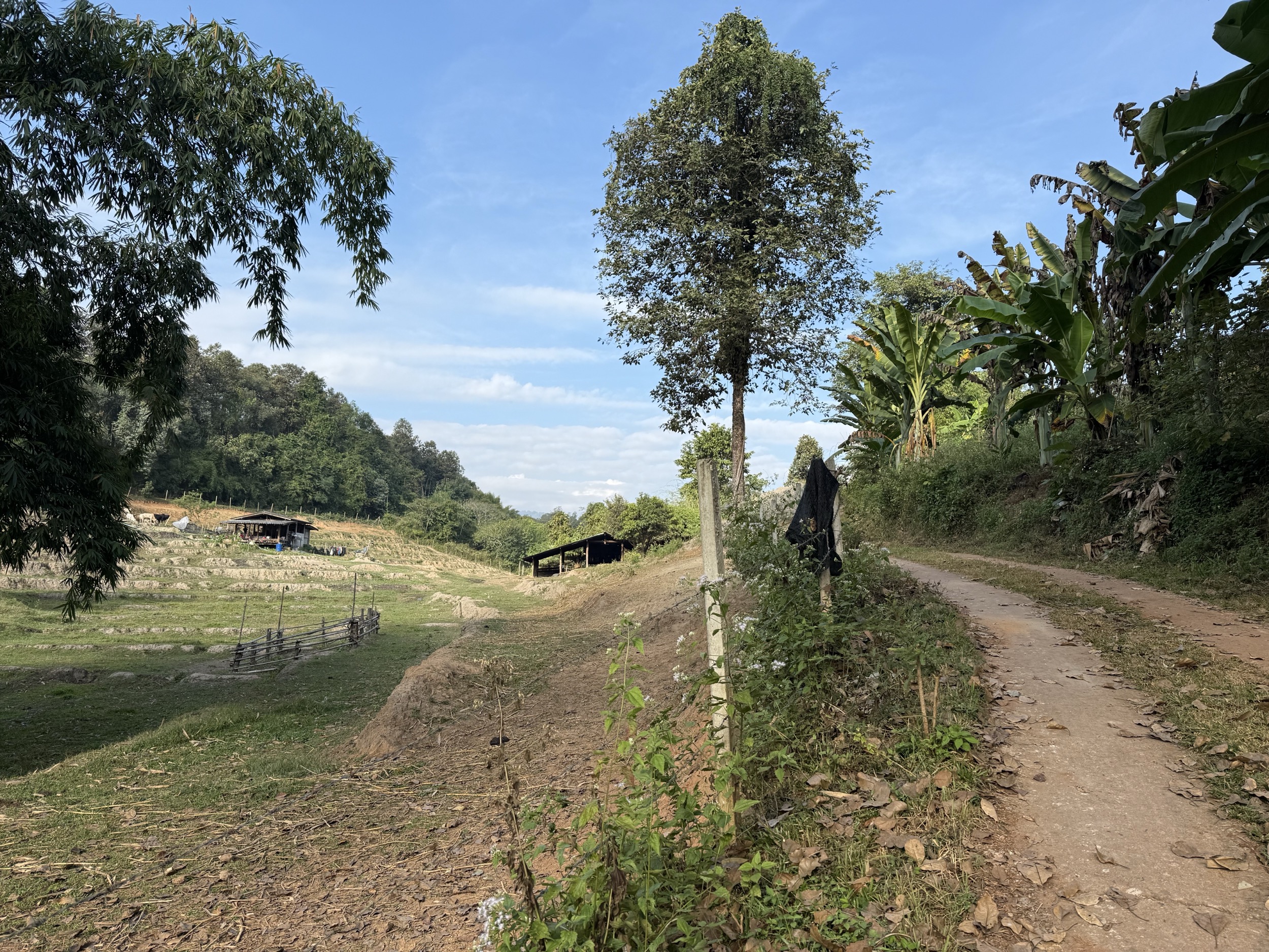 La fin du chemin