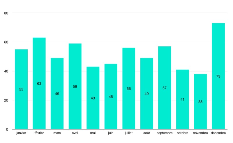 Nombre de visites par mois en 2024